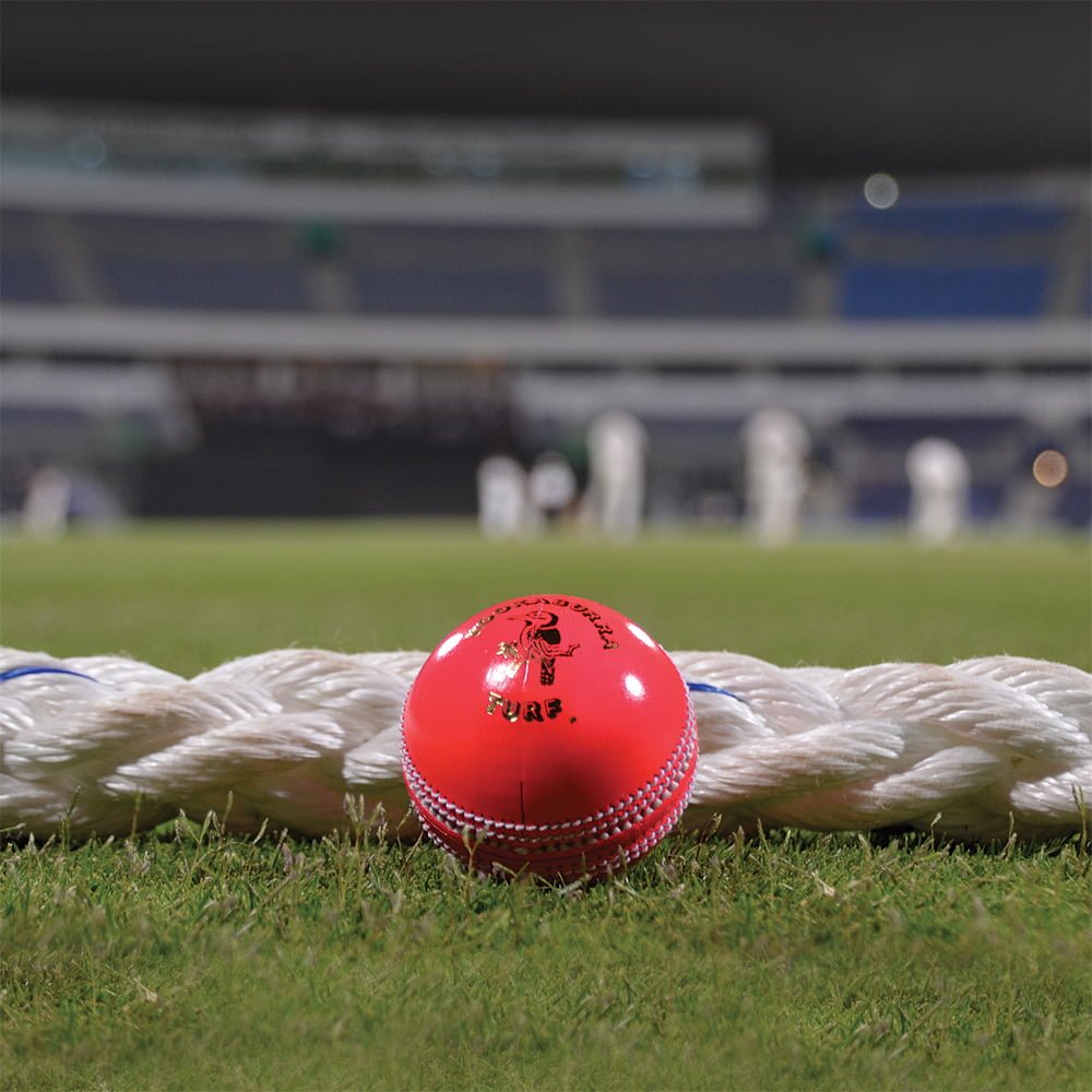 Pink ball makes India debut as daynight clamour grows