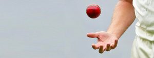 Cricket Australia to test disinfectant on match balls
