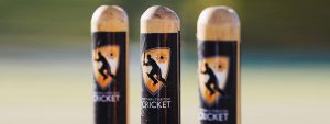 It’s back! Australian cricket to resume on Saturday